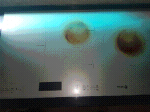 Sua bep 5 tu fagor IF ZONE 90 HBS